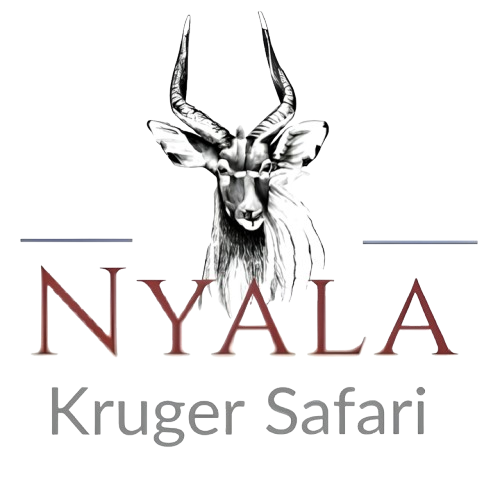 Logo of Nyala Safari with a stylized Nyala antelope